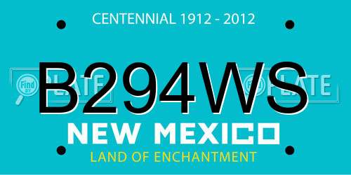 B294WS New Mexico License Plate
