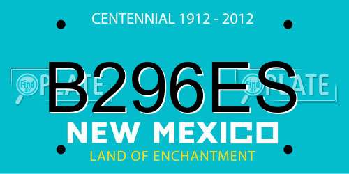 B296ES New Mexico License Plate