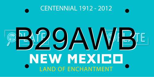 B29AWB New Mexico License Plate