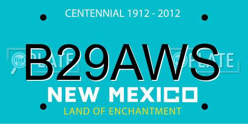 B29AWS New Mexico License Plate