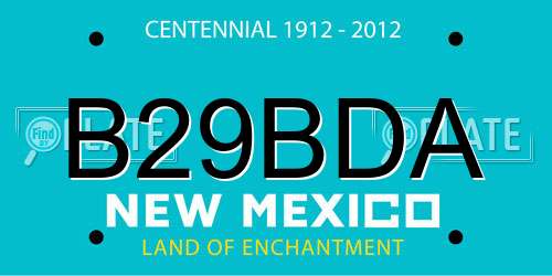 B29BDA New Mexico License Plate