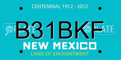 B31BKF New Mexico License Plate