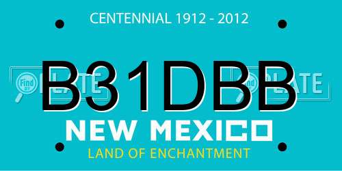 B31DBB New Mexico License Plate