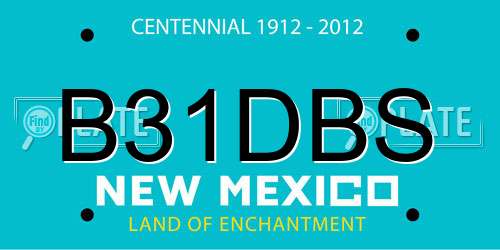 B31DBS New Mexico License Plate
