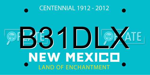 B31DLX New Mexico License Plate