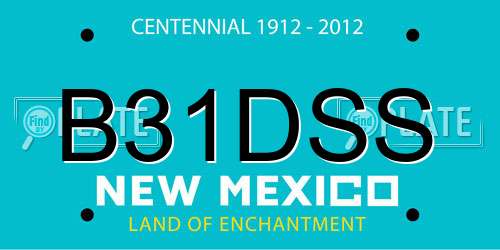 B31DSS New Mexico License Plate