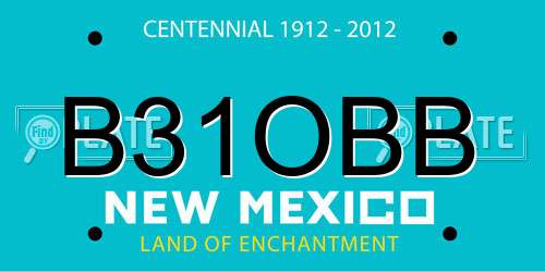 B31OBB New Mexico License Plate
