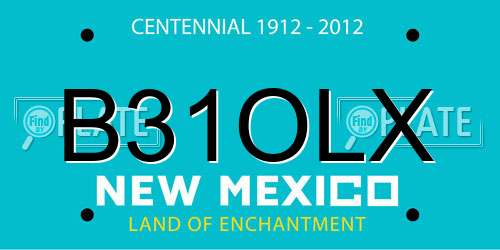 B31OLX New Mexico License Plate