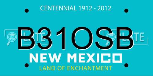 B31OSB New Mexico License Plate