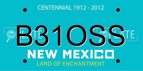 B31OSS New Mexico License Plate