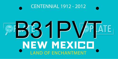 B31PVT New Mexico License Plate