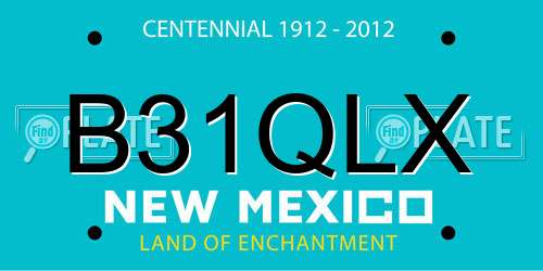 B31QLX New Mexico License Plate