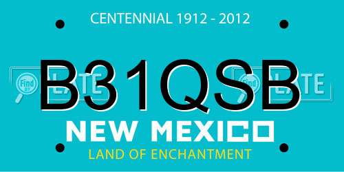 B31QSB New Mexico License Plate