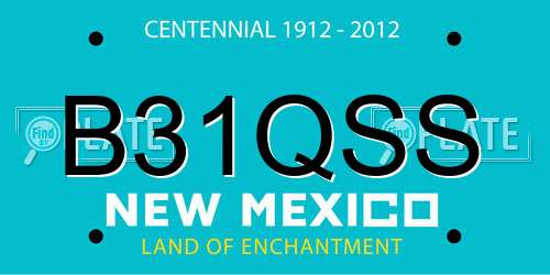B31QSS New Mexico License Plate