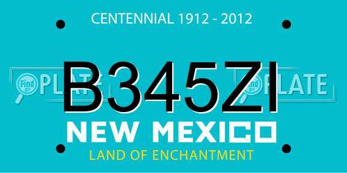 B345ZI New Mexico License Plate