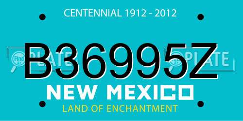 B36995Z New Mexico License Plate