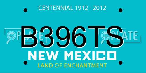 B396TS New Mexico License Plate