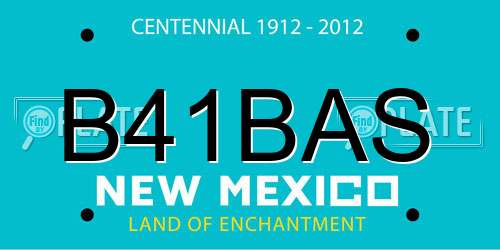 B41BAS New Mexico License Plate