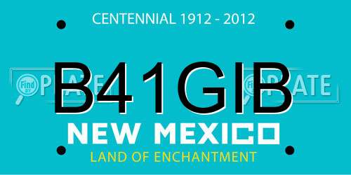 B41GIB New Mexico License Plate