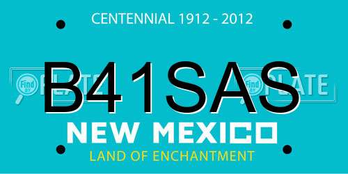B41SAS New Mexico License Plate