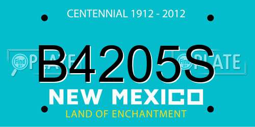 B4205S New Mexico License Plate