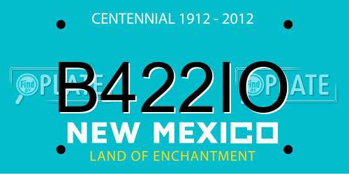 B422IO New Mexico License Plate