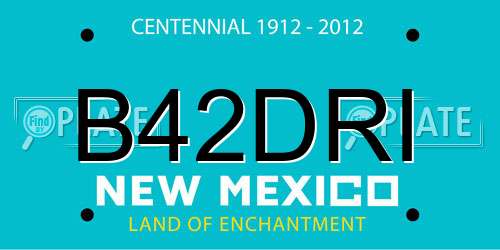 B42DRI New Mexico License Plate