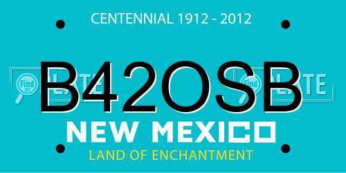B42OSB New Mexico License Plate