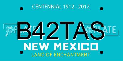 B42TAS New Mexico License Plate
