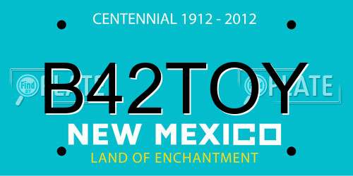 B42TOY New Mexico License Plate