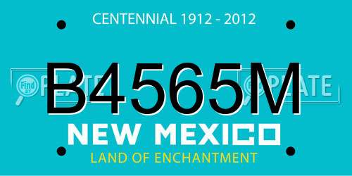B4565M New Mexico License Plate