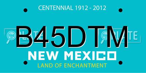 B45DTM New Mexico License Plate