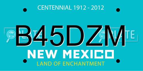 B45DZM New Mexico License Plate