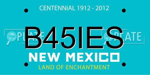B45IES New Mexico License Plate