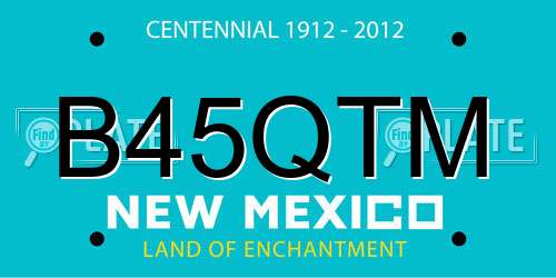 B45QTM New Mexico License Plate