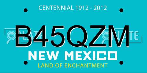 B45QZM New Mexico License Plate