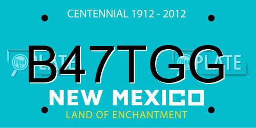 B47TGG New Mexico License Plate