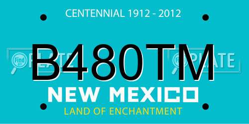 B480TM New Mexico License Plate