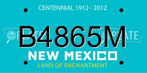 B4865M New Mexico License Plate