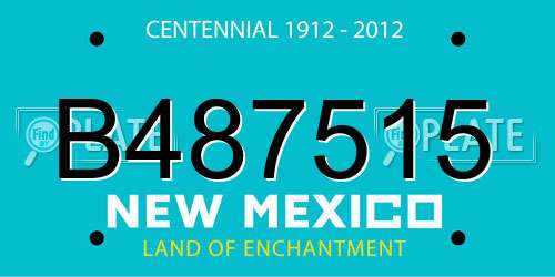 B487515 New Mexico License Plate
