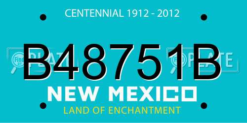B48751B New Mexico License Plate