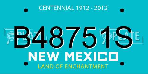 B48751S New Mexico License Plate
