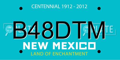 B48DTM New Mexico License Plate