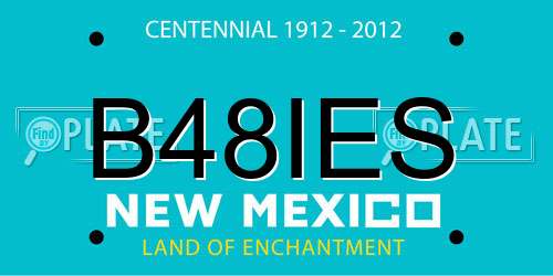 B48IES New Mexico License Plate