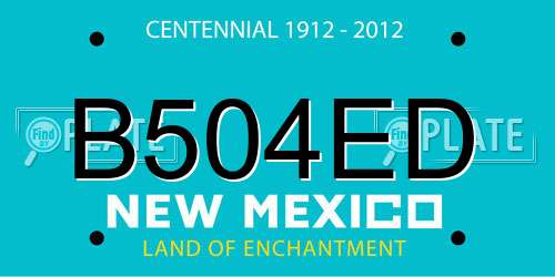 B504ED New Mexico License Plate