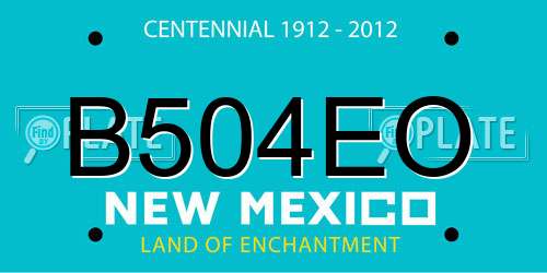B504EO New Mexico License Plate