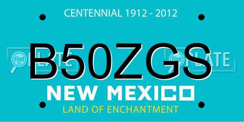 B50ZGS New Mexico License Plate