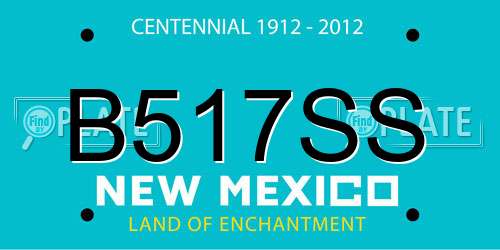 B517SS New Mexico License Plate