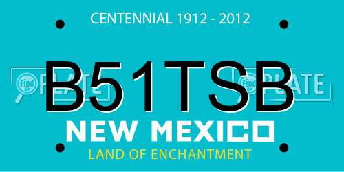 B51TSB New Mexico License Plate