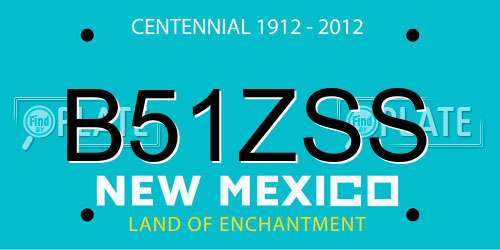B51ZSS New Mexico License Plate